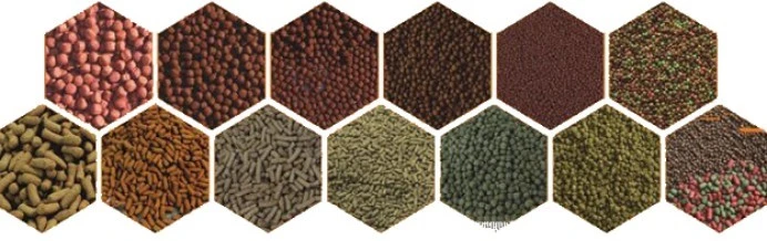 product-692-218 product-692-218